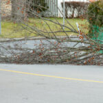 RoadDebris RoadDebris