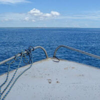 Boat4 Boat4