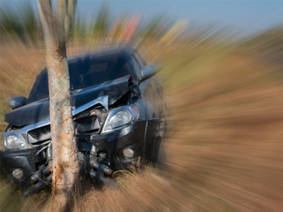 Driver Killed in Polk County Crash