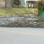 RoadDebris RoadDebris