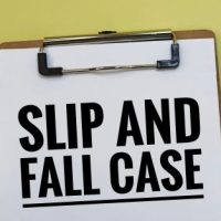 _SlipFallCase